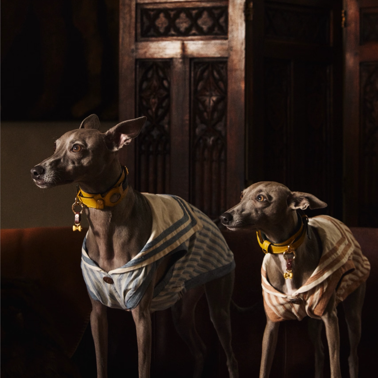 Double Cover Glory: BOVER’s 2025 Fashion Journey, From Social Icons to Trendsetting Idols