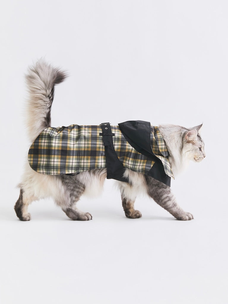 Stripe Waterproof Windbreaker