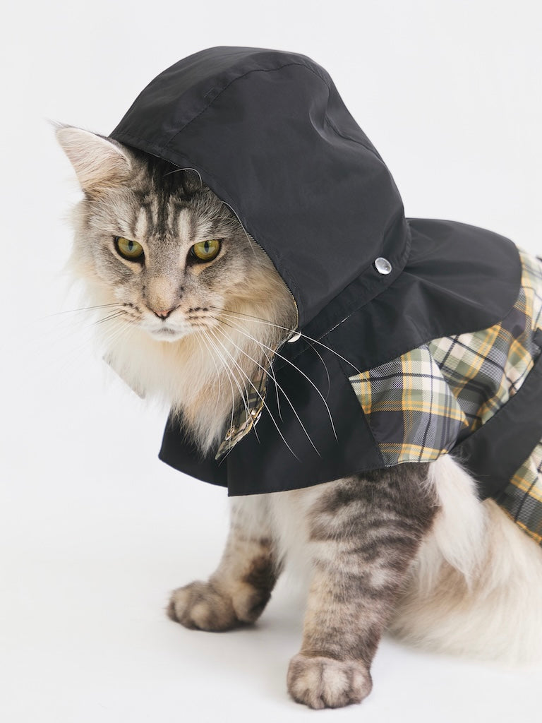 Stripe Waterproof Windbreaker