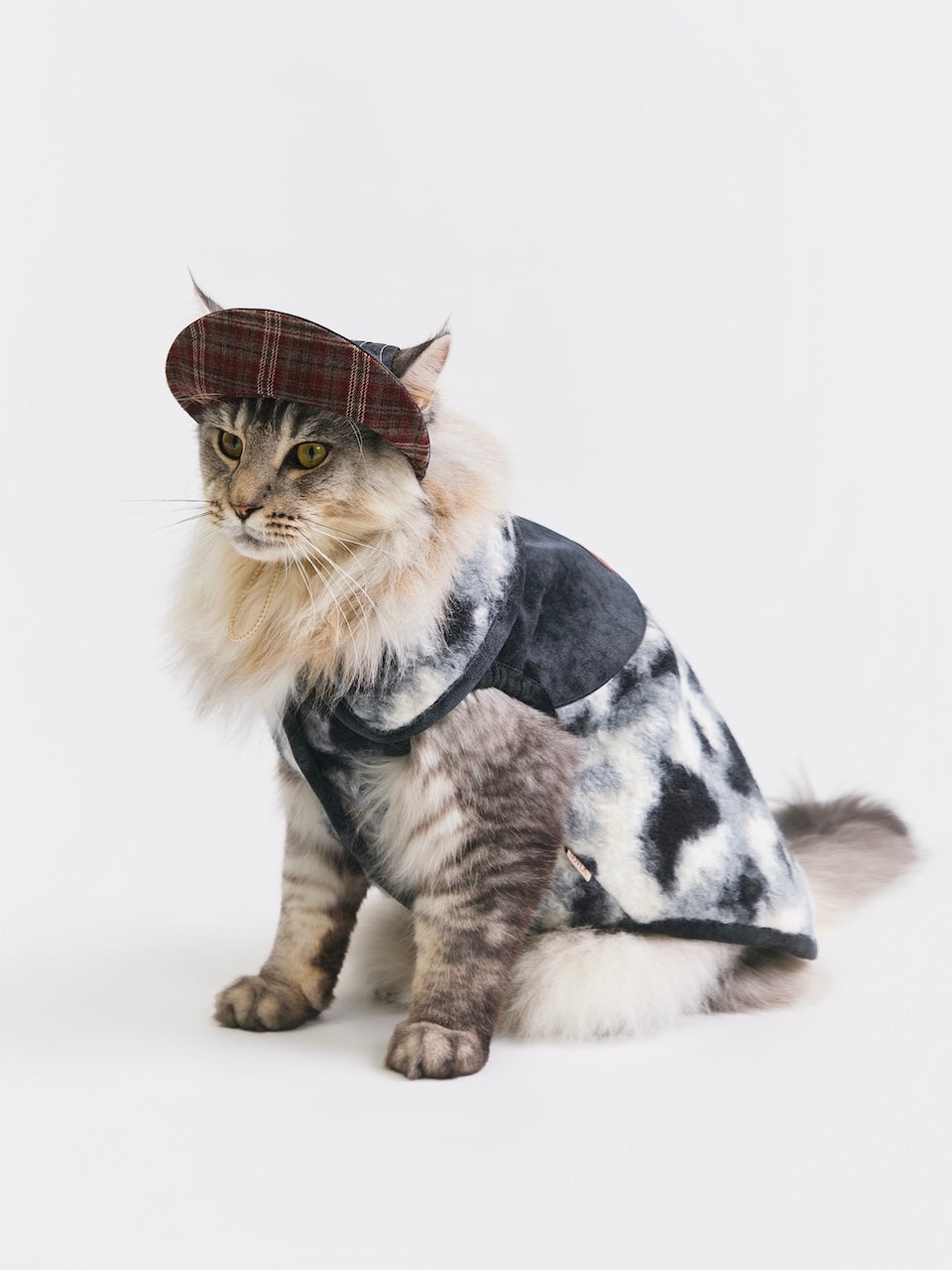 BOVER Reversible Pet Baseball Cap