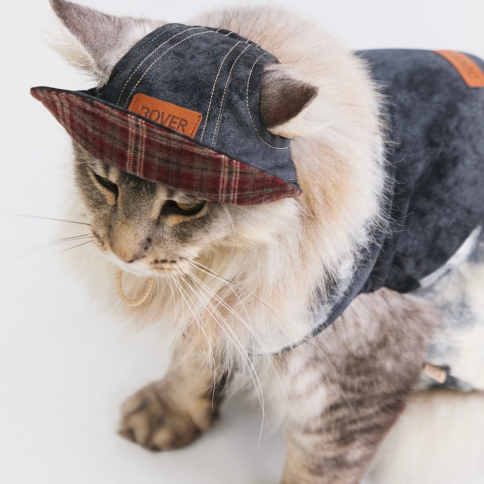 BOVER Reversible Pet Baseball Cap