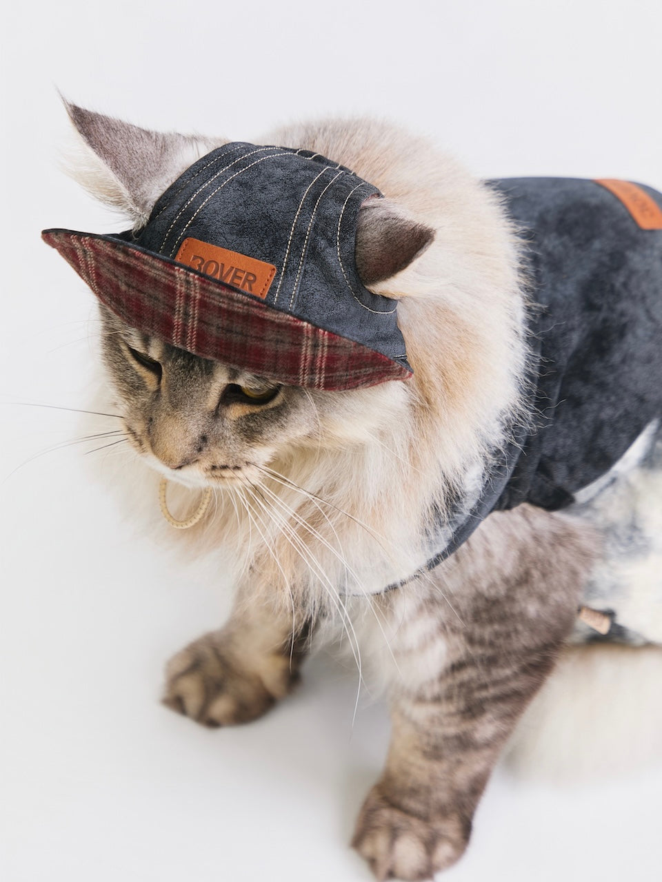 BOVER Reversible Pet Baseball Cap