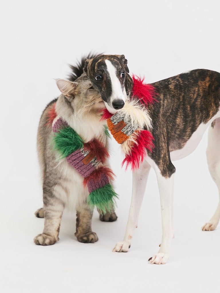 BOVER Color-block Pet Scarf (Pet Version)