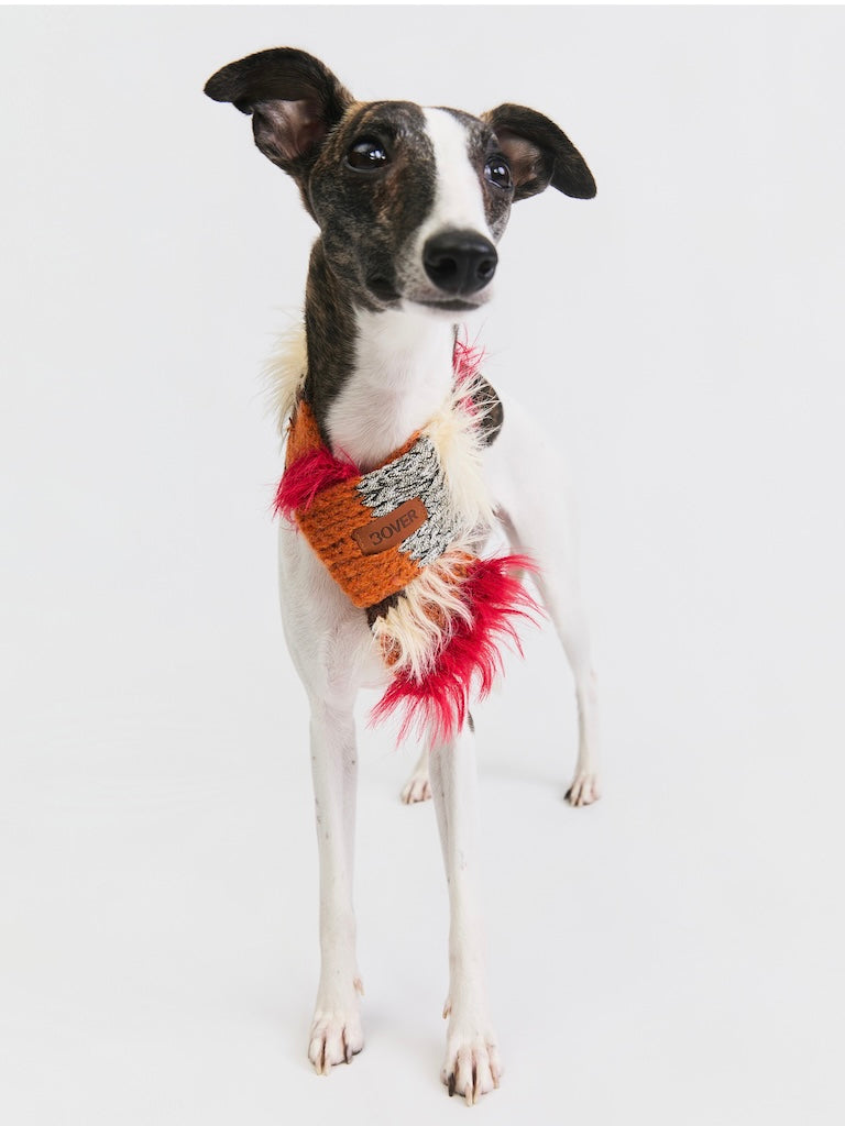 BOVER Color-block Pet Scarf (Pet Version)