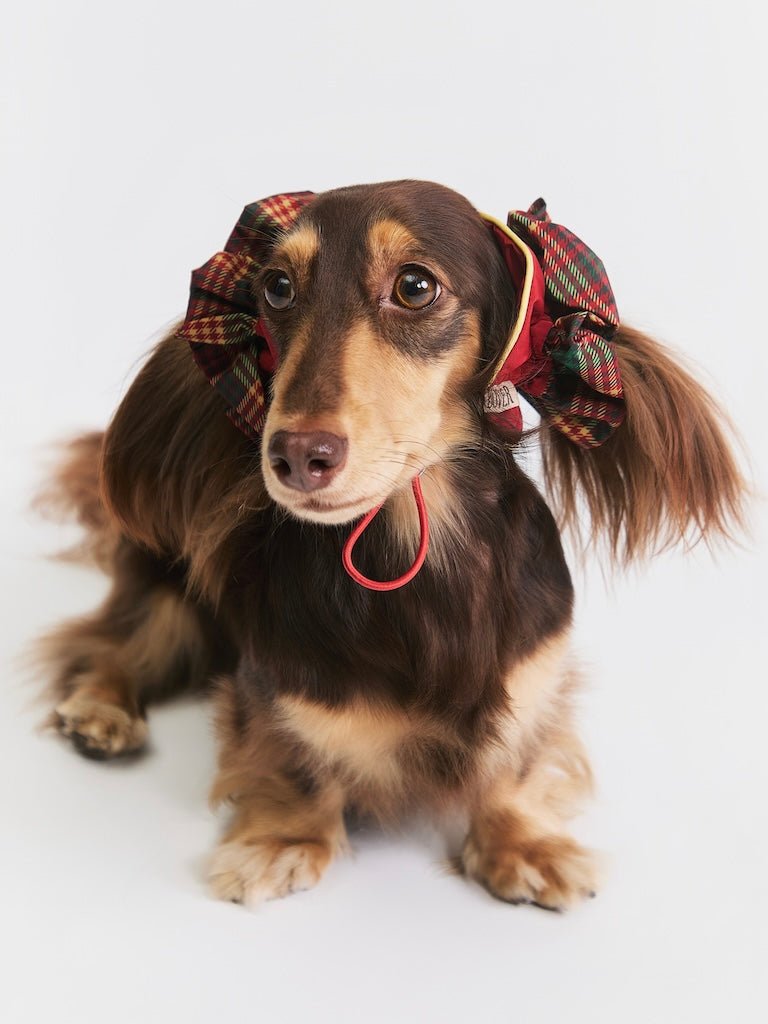 BOVER Color-block Ear Cap