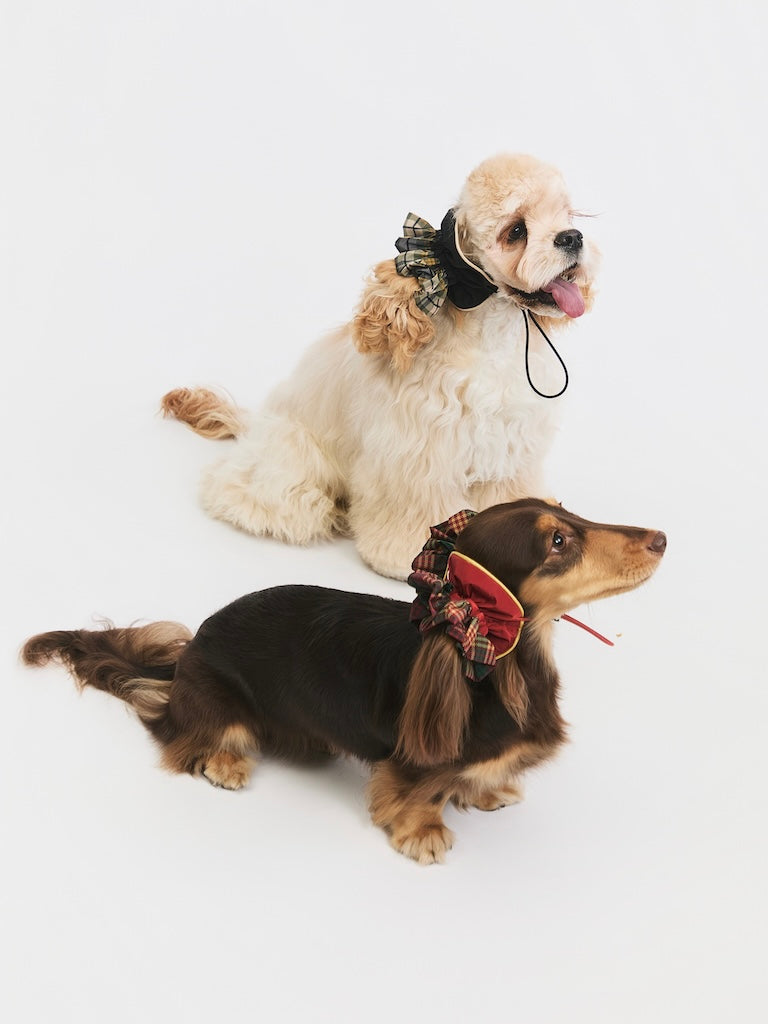 BOVER Color-block Ear Cap