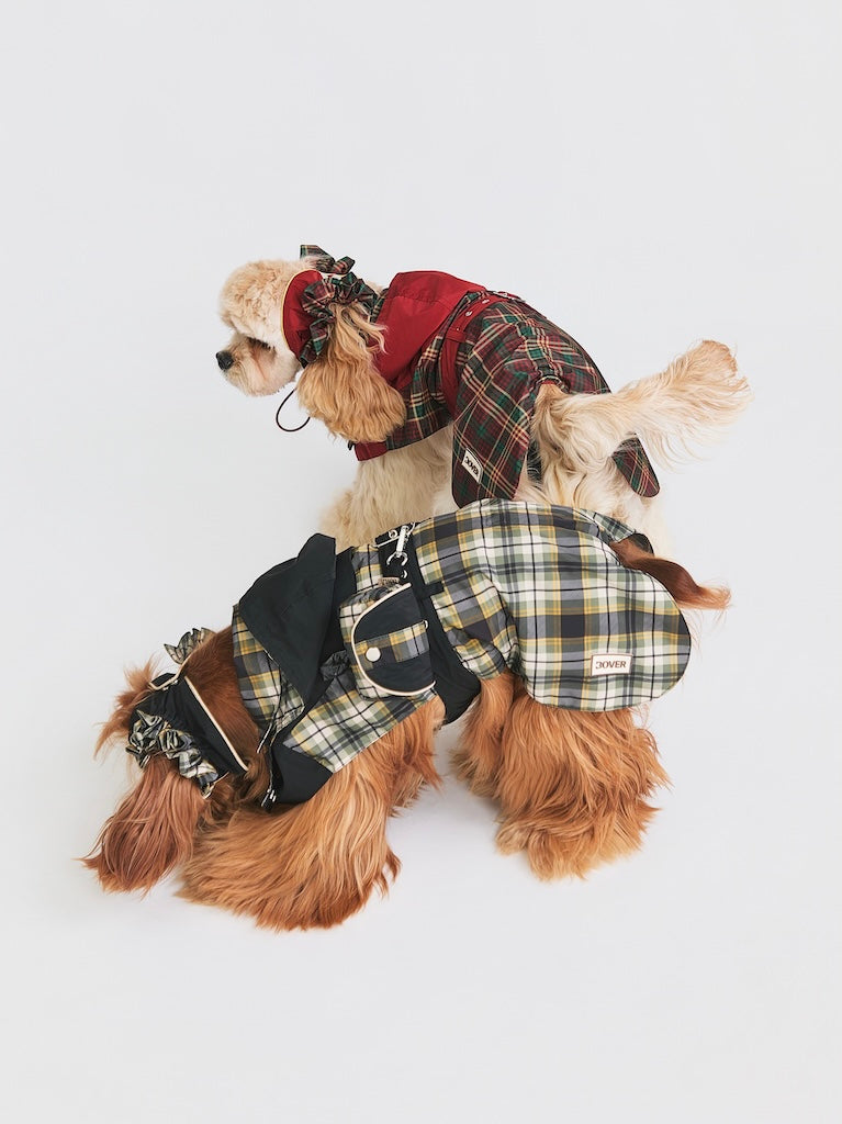 Stripe Waterproof Windbreaker