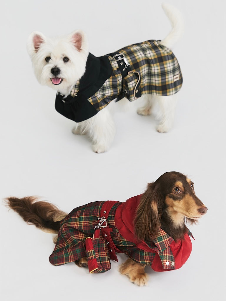 Stripe Waterproof Windbreaker