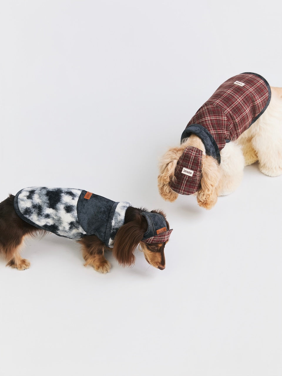 BOVER Reversible Pet Baseball Cap