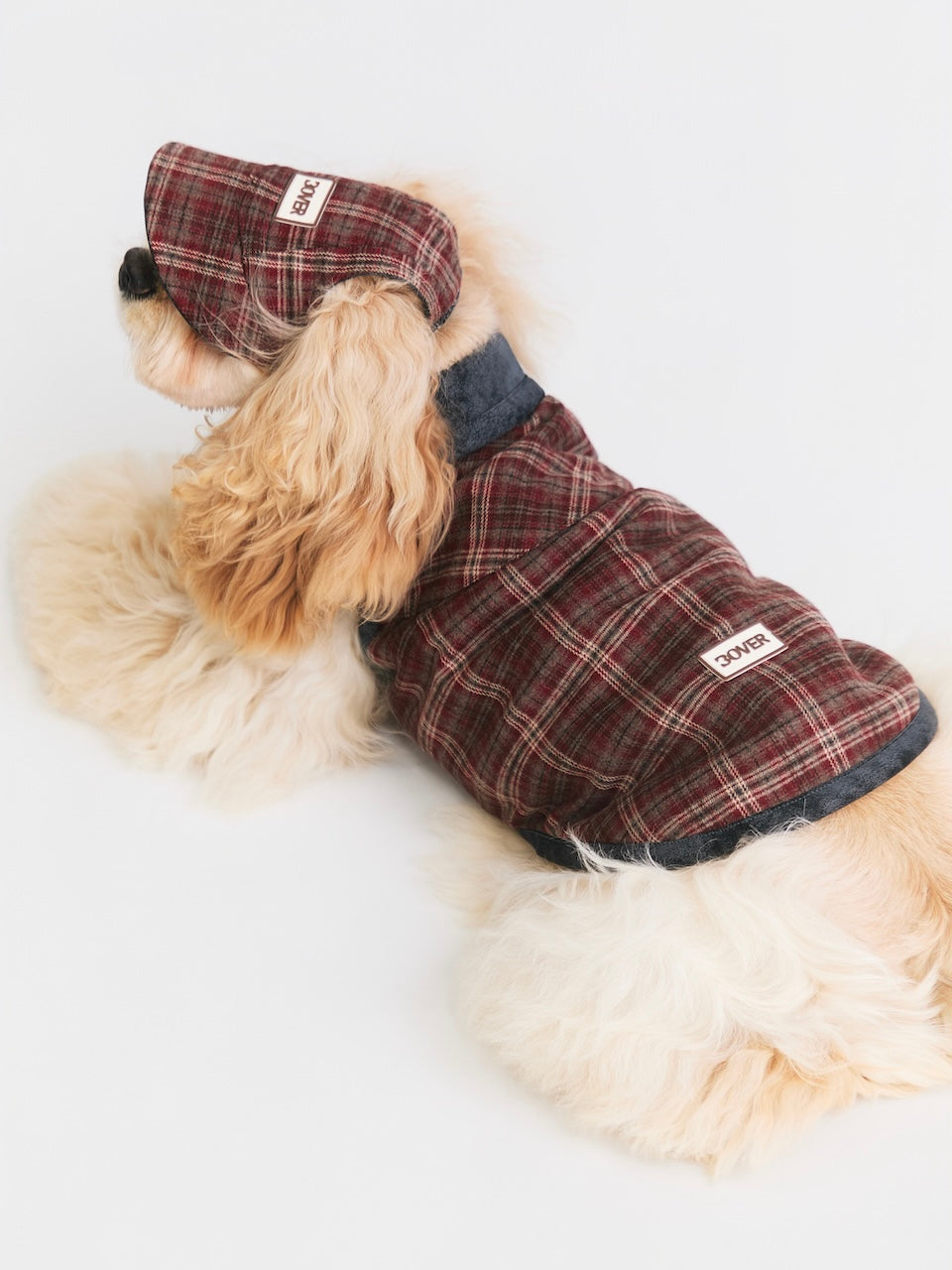 BOVER Reversible Pet Baseball Cap