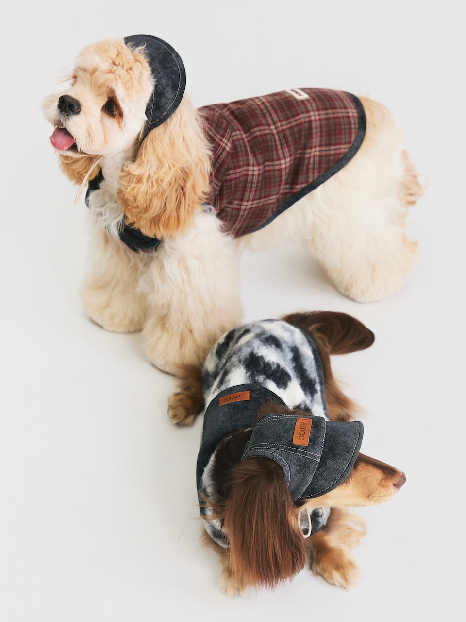 BOVER Reversible Pet Baseball Cap