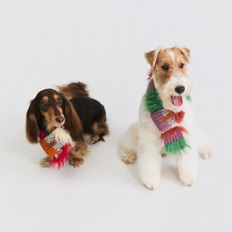 BOVER Color-block Pet Scarf (Pet Version)