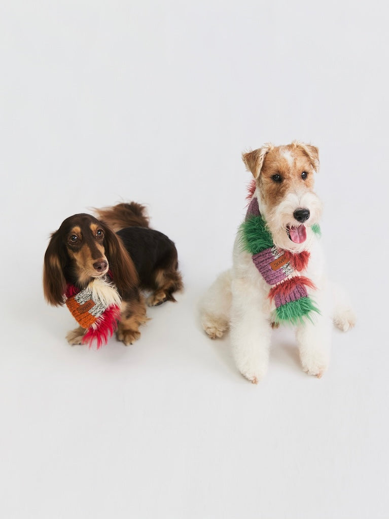 BOVER Color-block Pet Scarf (Pet Version)