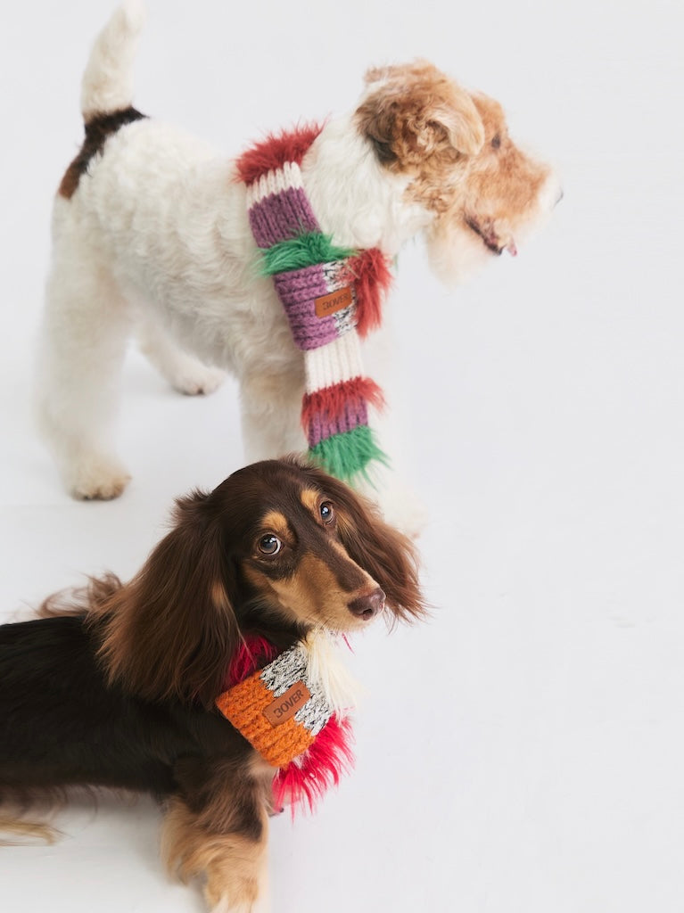 BOVER Color-block Pet Scarf (Pet Version)