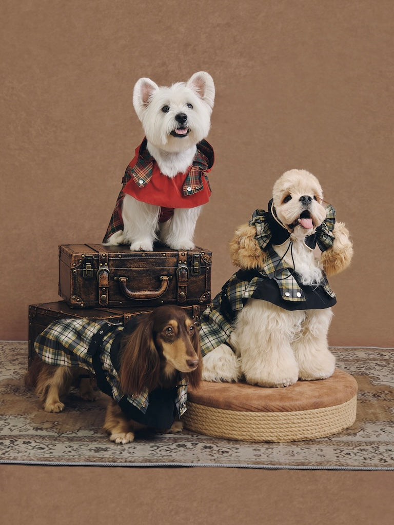 BOVER Color-block Ear Cap