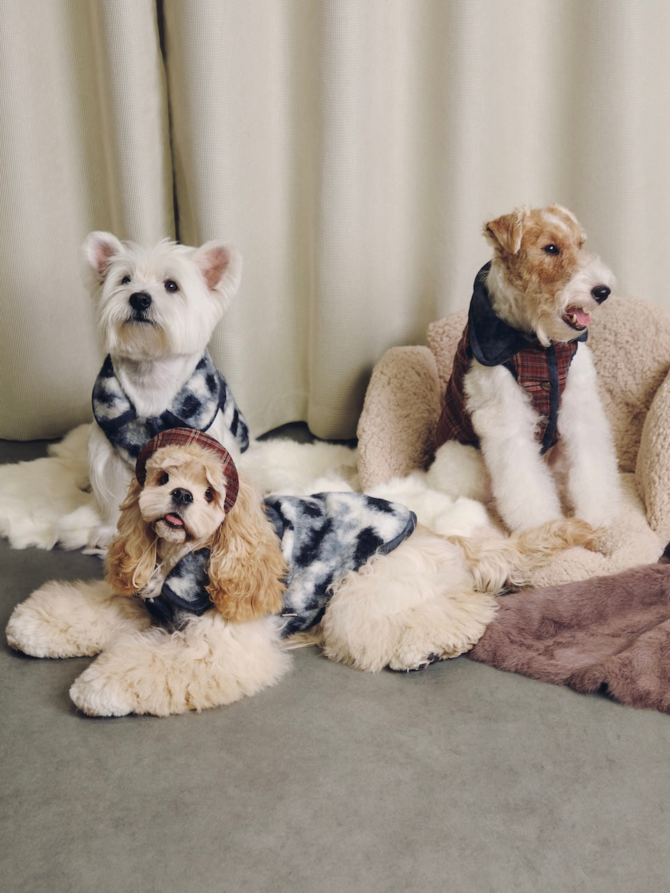 BOVER Reversible Pet Vest