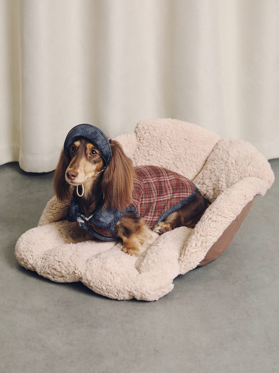 BOVER Reversible Pet Vest