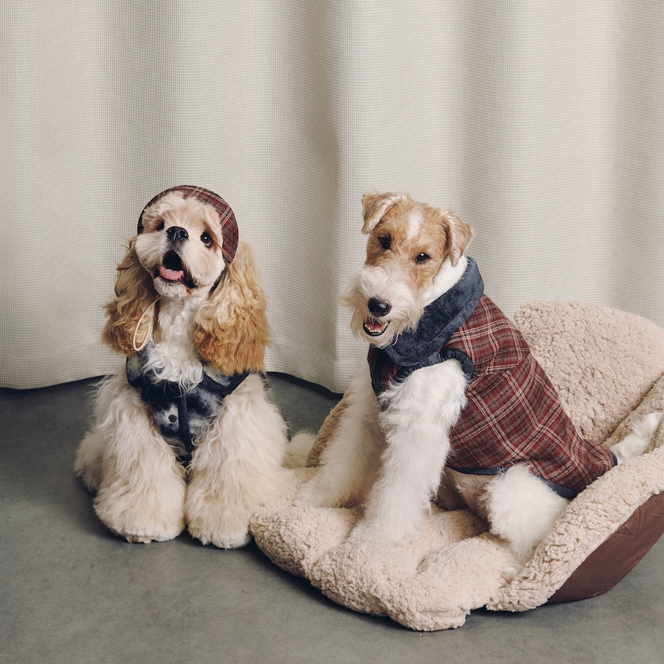BOVER Reversible Pet Vest