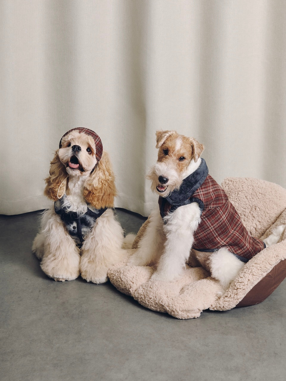 BOVER Reversible Pet Vest