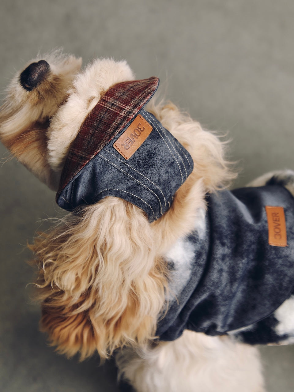 BOVER Reversible Pet Baseball Cap