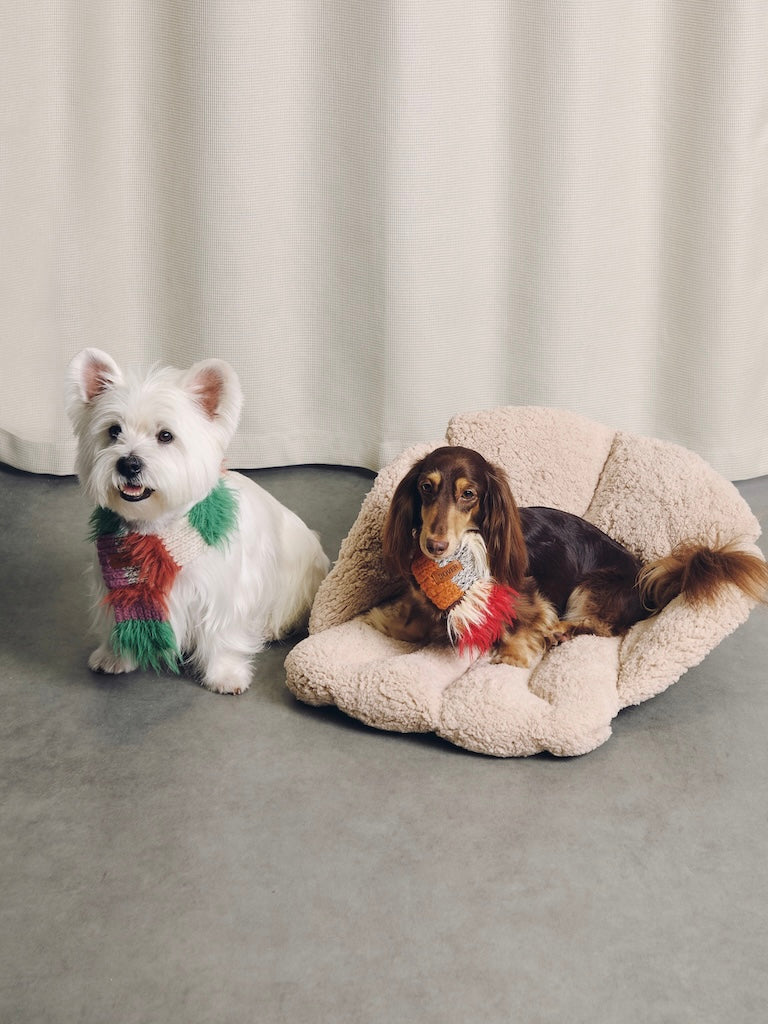 BOVER Color-block Pet Scarf (Pet Version)