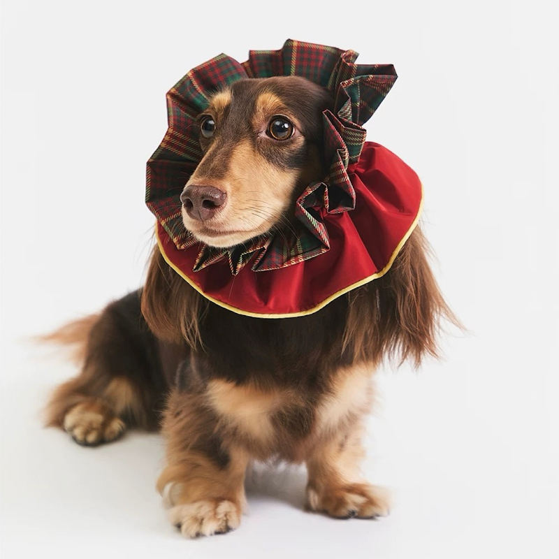 BOVER Multi-functional Plaid Bandana