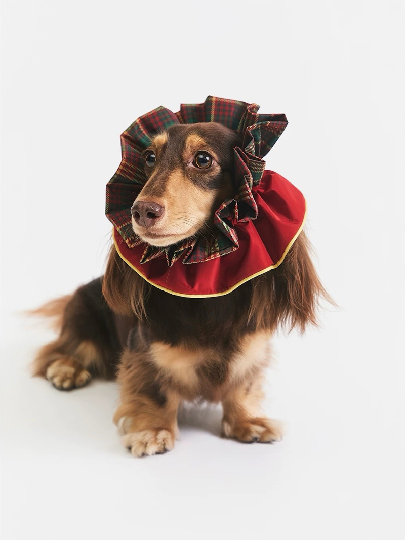 BOVER Multi-functional Plaid Bandana