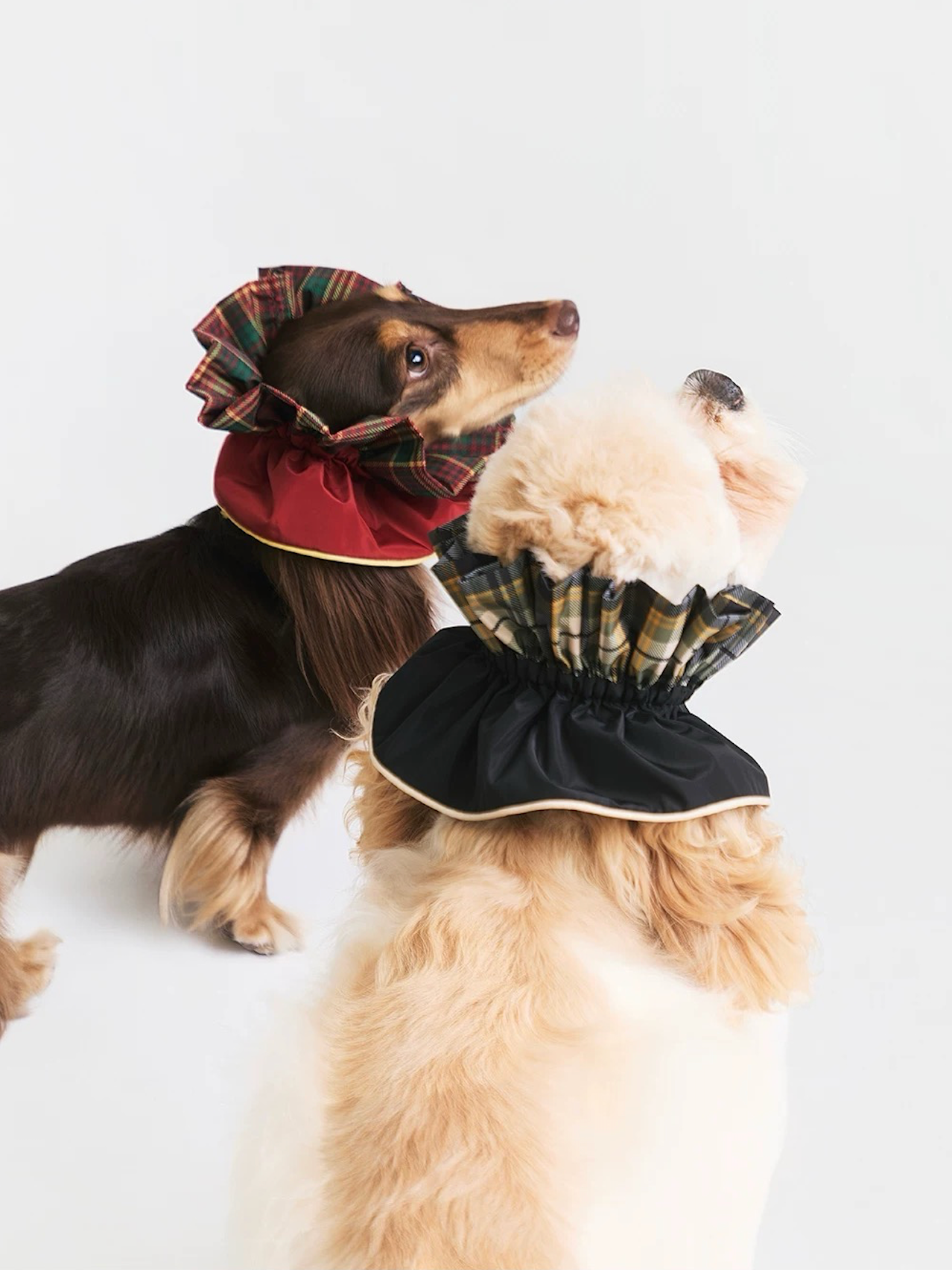 BOVER Multi-functional Plaid Bandana