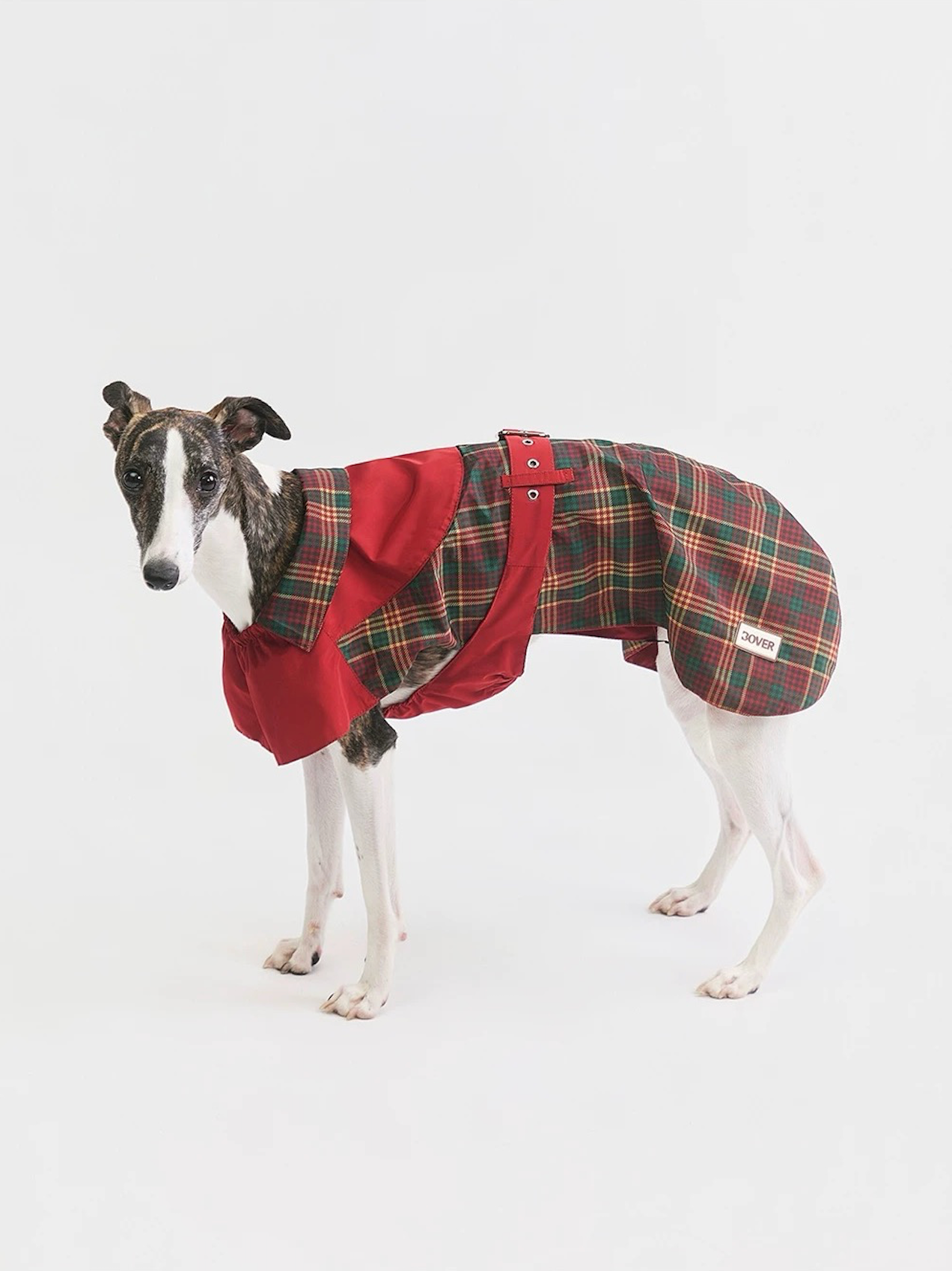 Stripe Waterproof Windbreaker