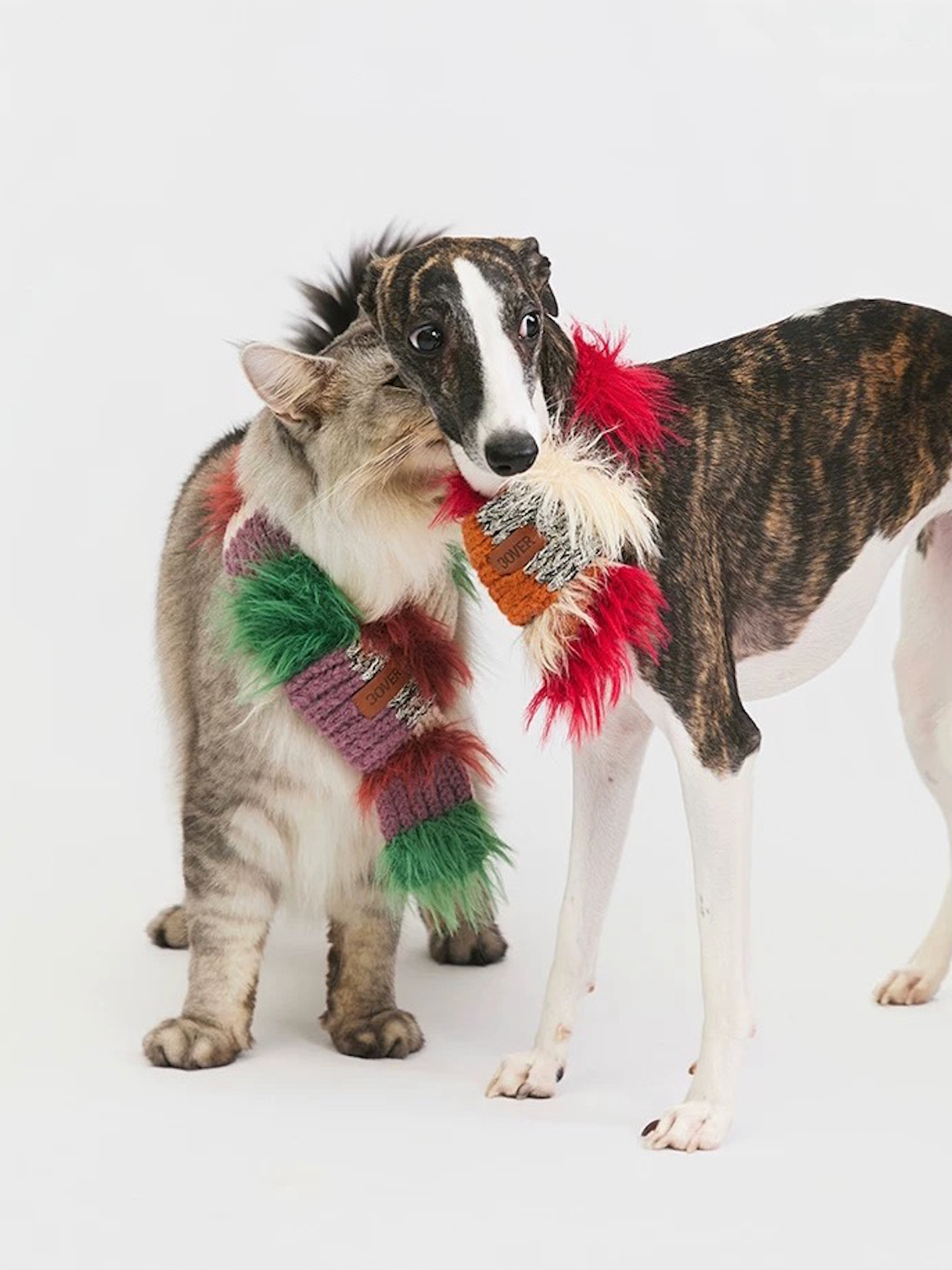 BOVER Color-block Pet Scarf (Pet Version)