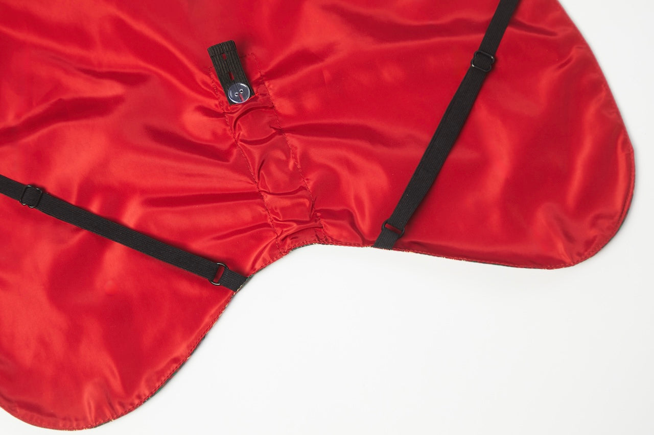 Stripe Waterproof Windbreaker