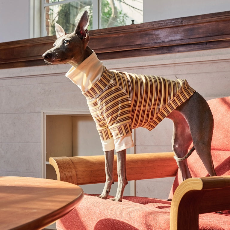 BOVER "Homebody Dog" Velvet Shirt