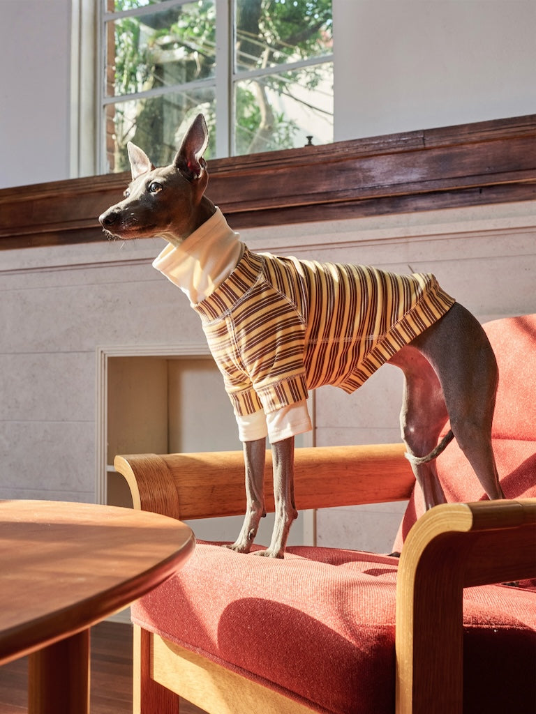 BOVER "Homebody Dog" Velvet Shirt