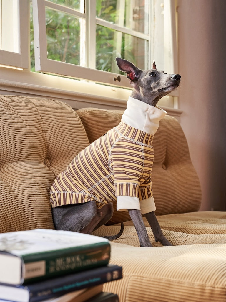 BOVER "Homebody Dog" Velvet Shirt