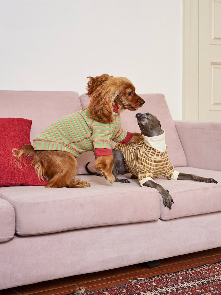 BOVER "Homebody Dog" Velvet Shirt