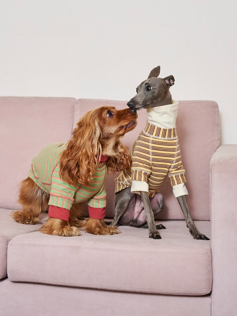 BOVER "Homebody Dog" Velvet Shirt