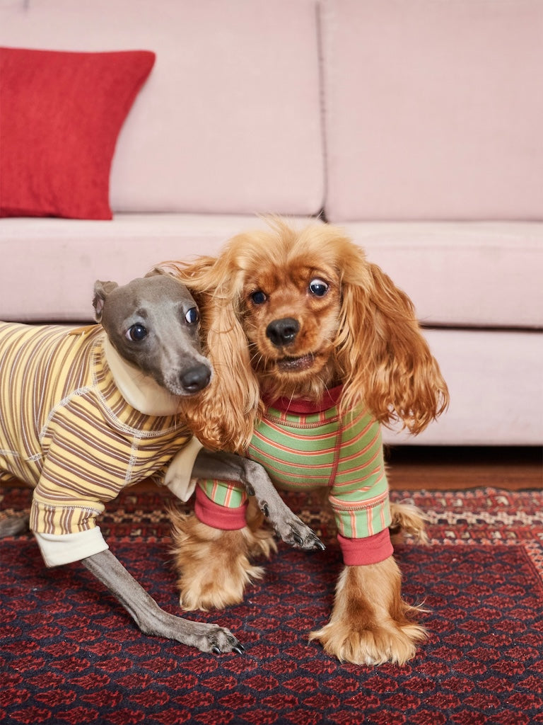 BOVER "Homebody Dog" Velvet Shirt