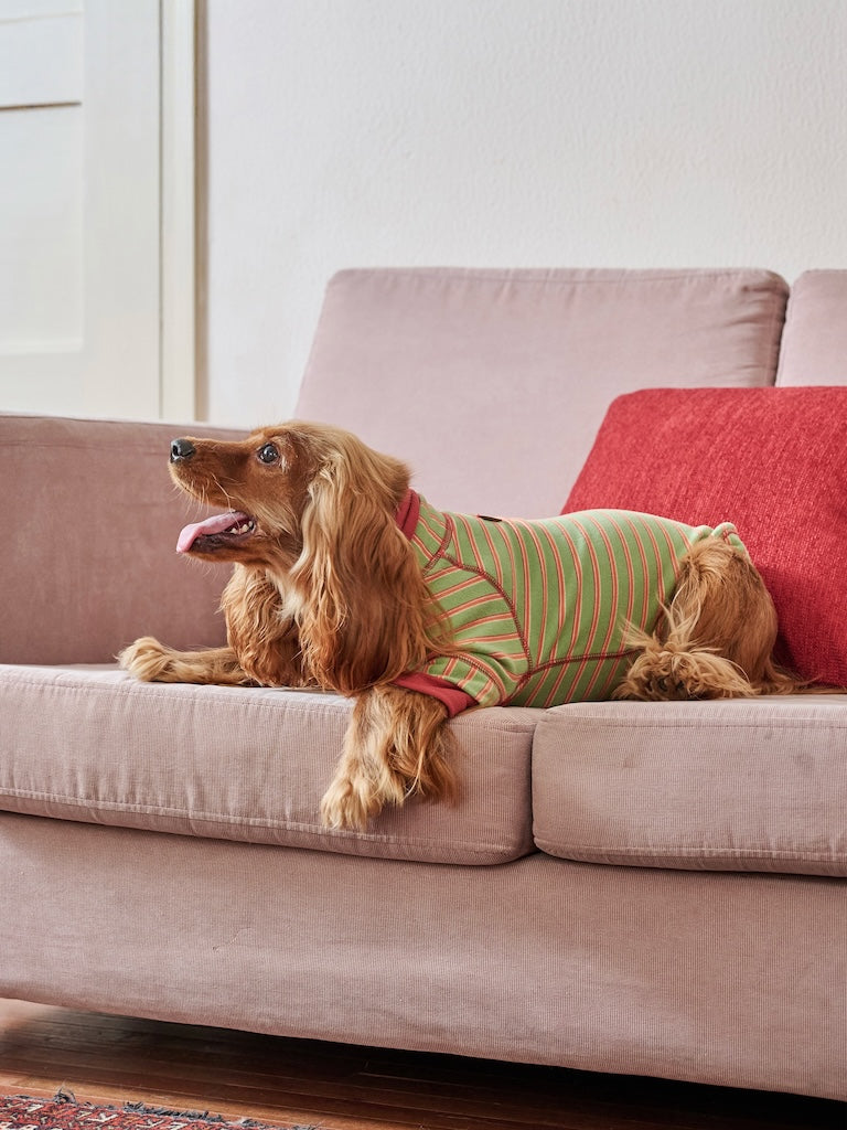 BOVER "Homebody Dog" Velvet Shirt