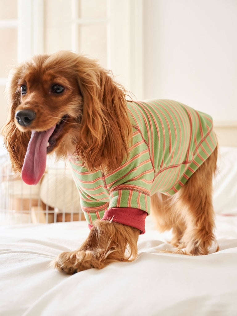 BOVER "Homebody Dog" Velvet Shirt