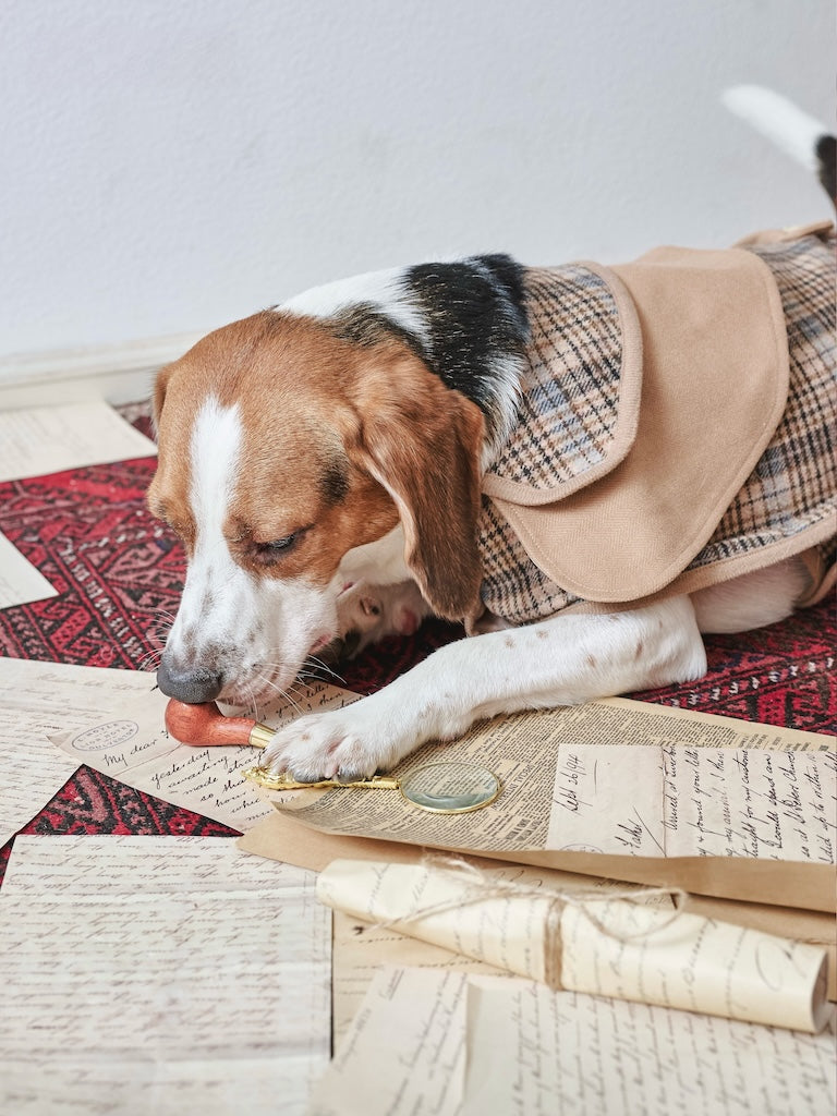 BOVER British Style Plaid Detective Cape