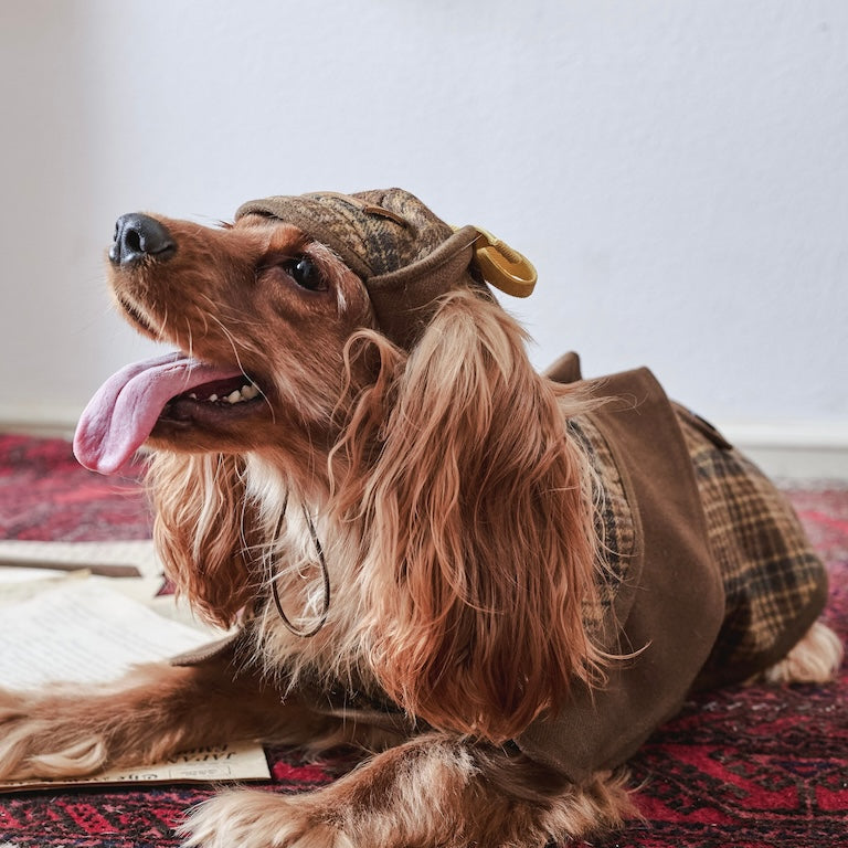 BOVER "Detective Dog" Sherlock Hat