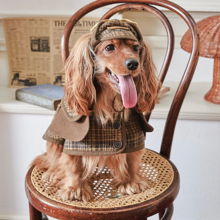 BOVER British Style Plaid Detective Cape