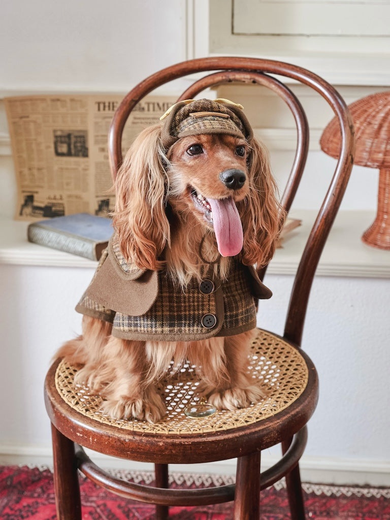 BOVER "Detective Dog" Sherlock Hat