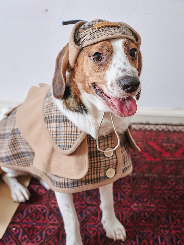 BOVER "Detective Dog" Sherlock Hat