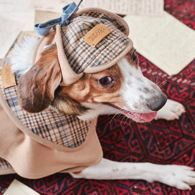 BOVER "Detective Dog" Sherlock Hat