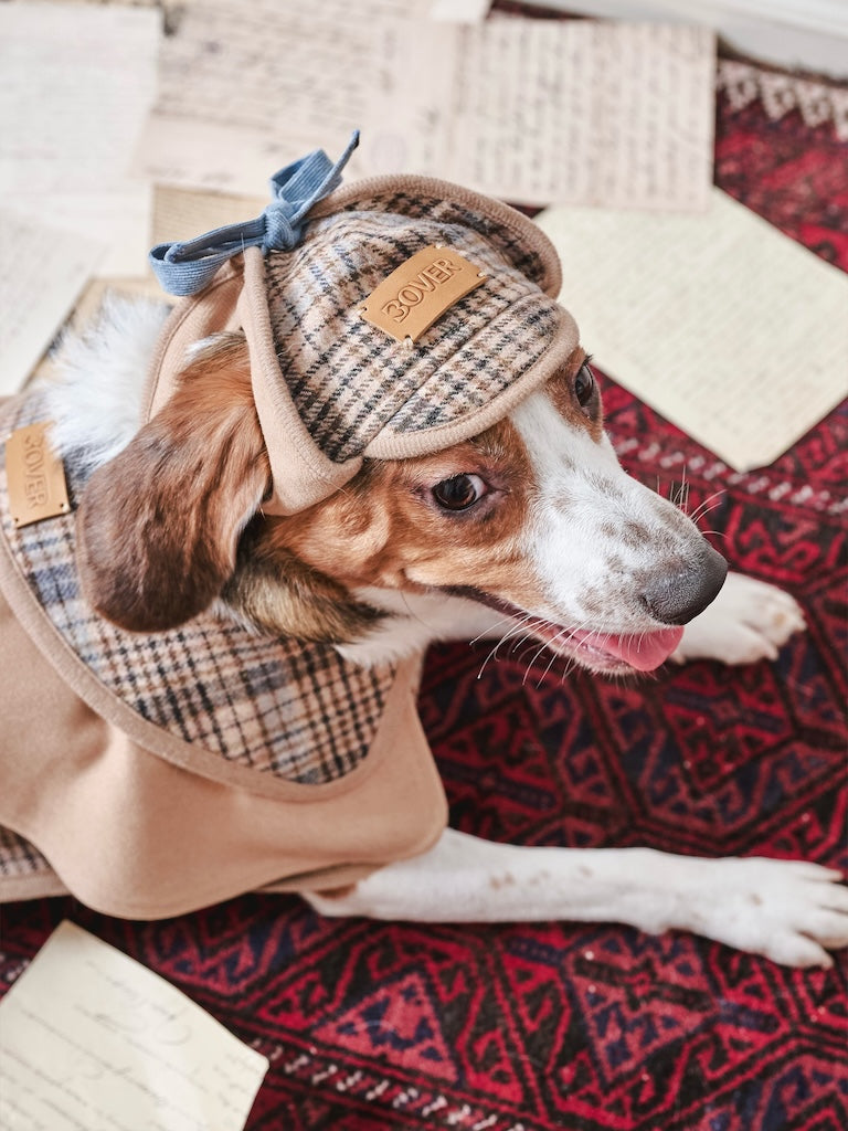 BOVER "Detective Dog" Sherlock Hat