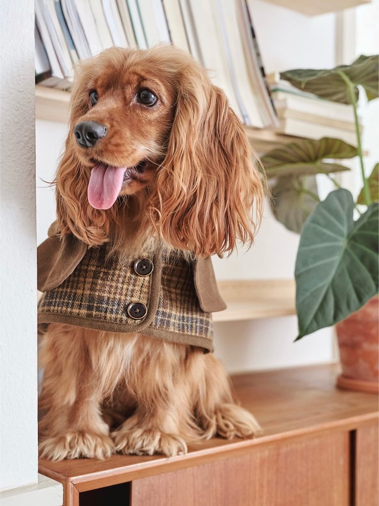 BOVER British Style Plaid Detective Cape