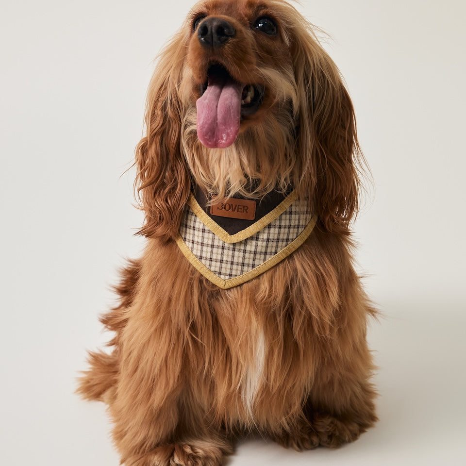 BOVER Adjustable Pet Bandana