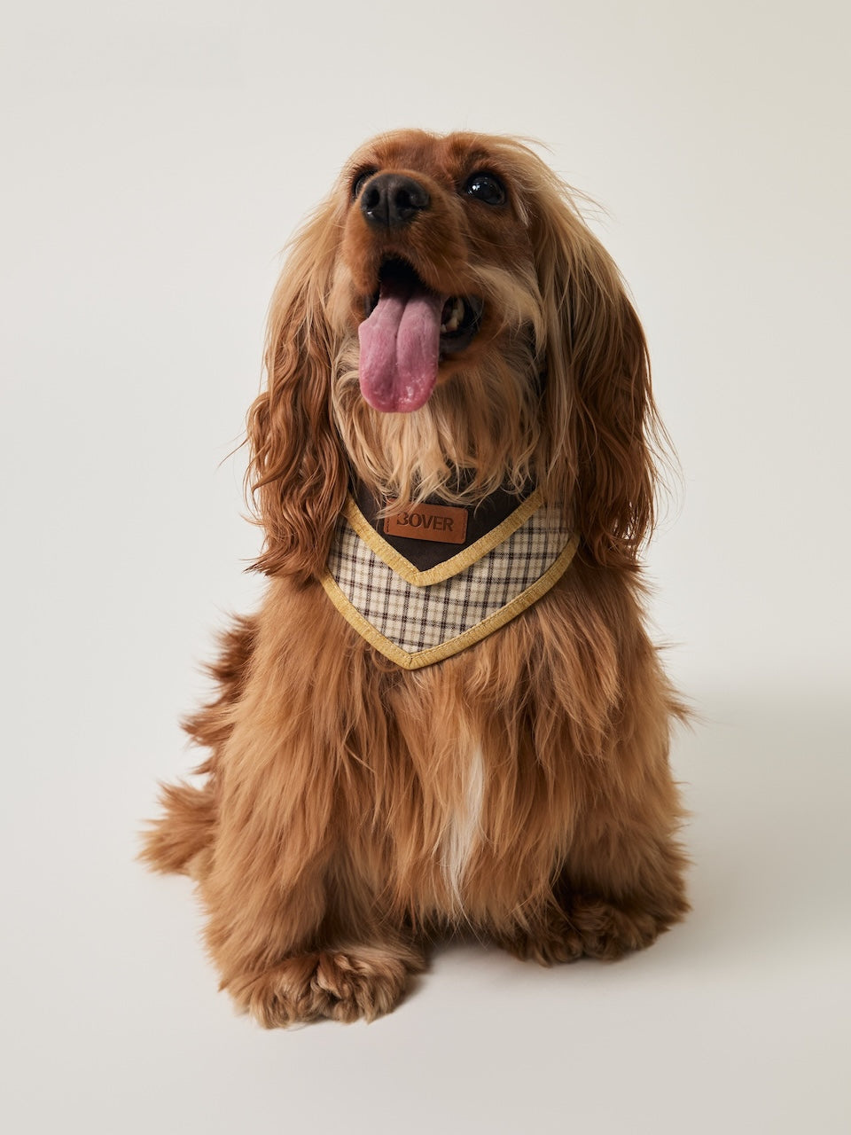 BOVER Adjustable Pet Bandana