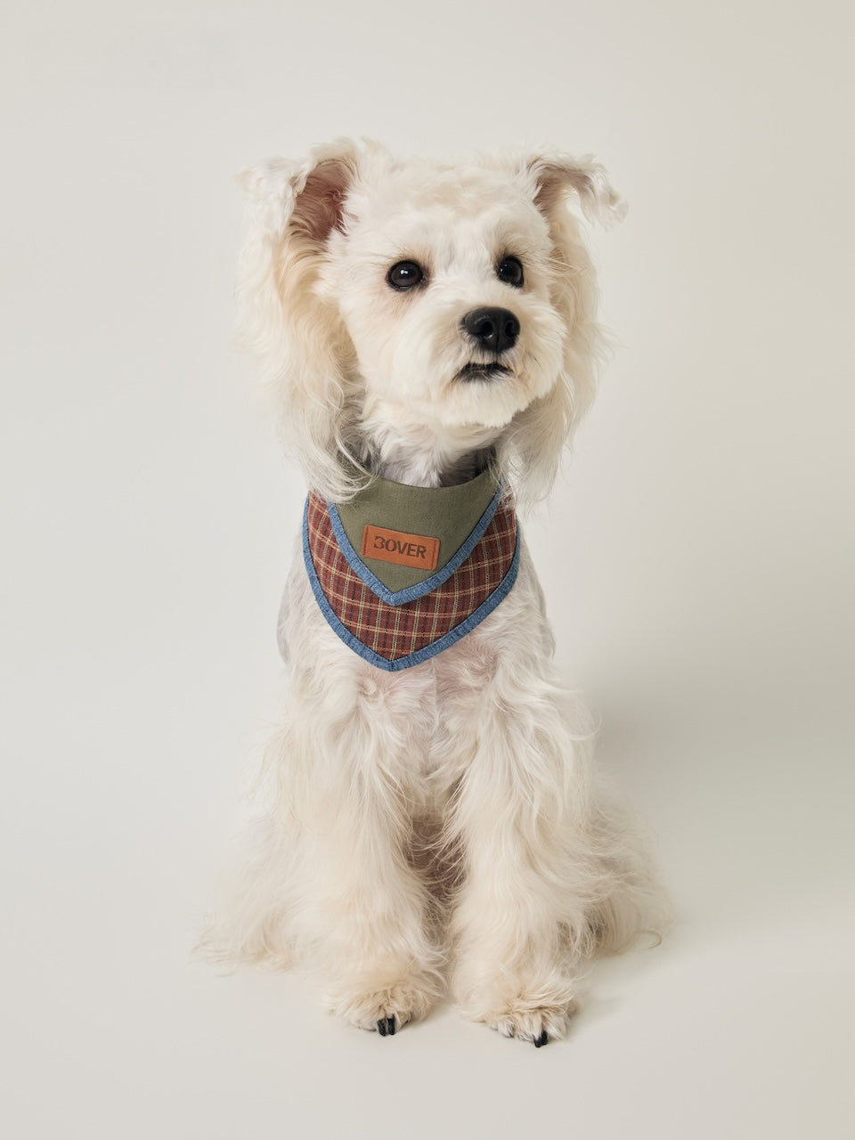 BOVER Adjustable Pet Bandana